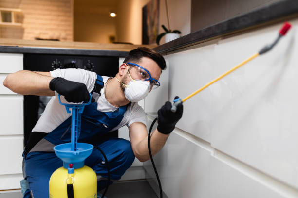Best Cockroach Control Services  in Folly Beach, SC