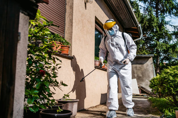 Best Wasp Removal Services  in Folly Beach, SC