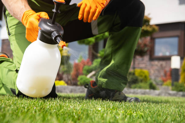 Best Affordable Pest Control Services  in Folly Beach, SC