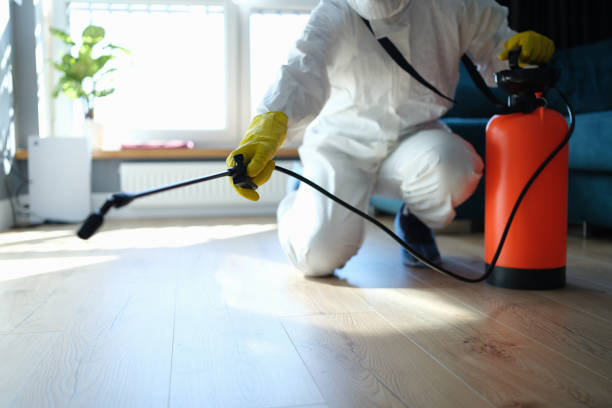 Professional Pest Control in Folly Beach, SC