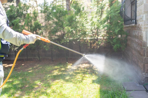 Best Ant Control Services  in Folly Beach, SC