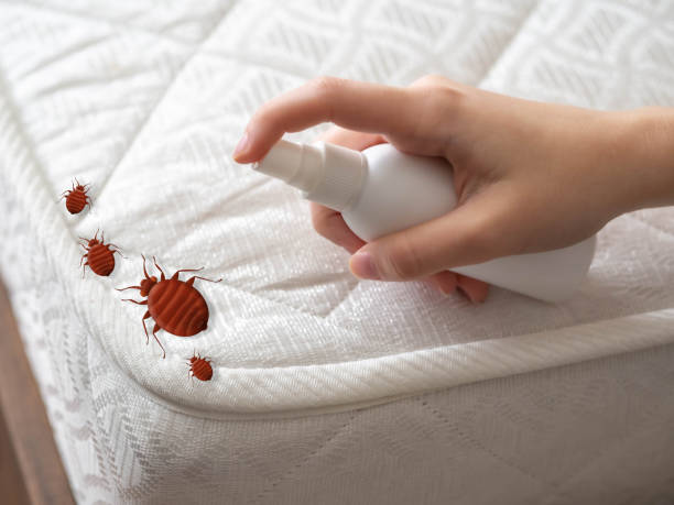 Best Emergency Pest Control  in Folly Beach, SC